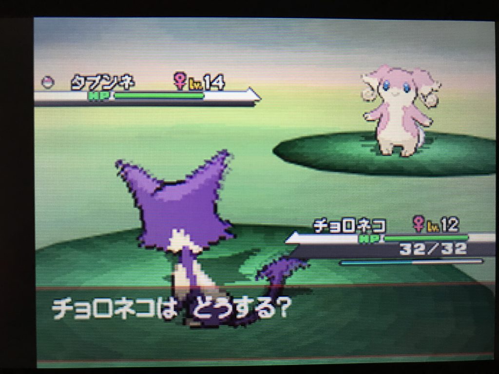 プレイ記 ポケモンストーリーをクリアする Bw編その1 ポケブロス