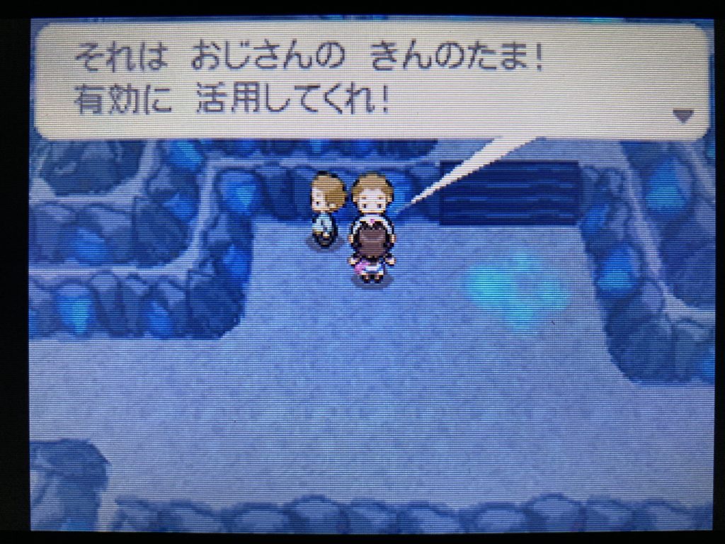 プレイ記 ポケモンストーリーをクリアする Bw編その３ ポケブロス