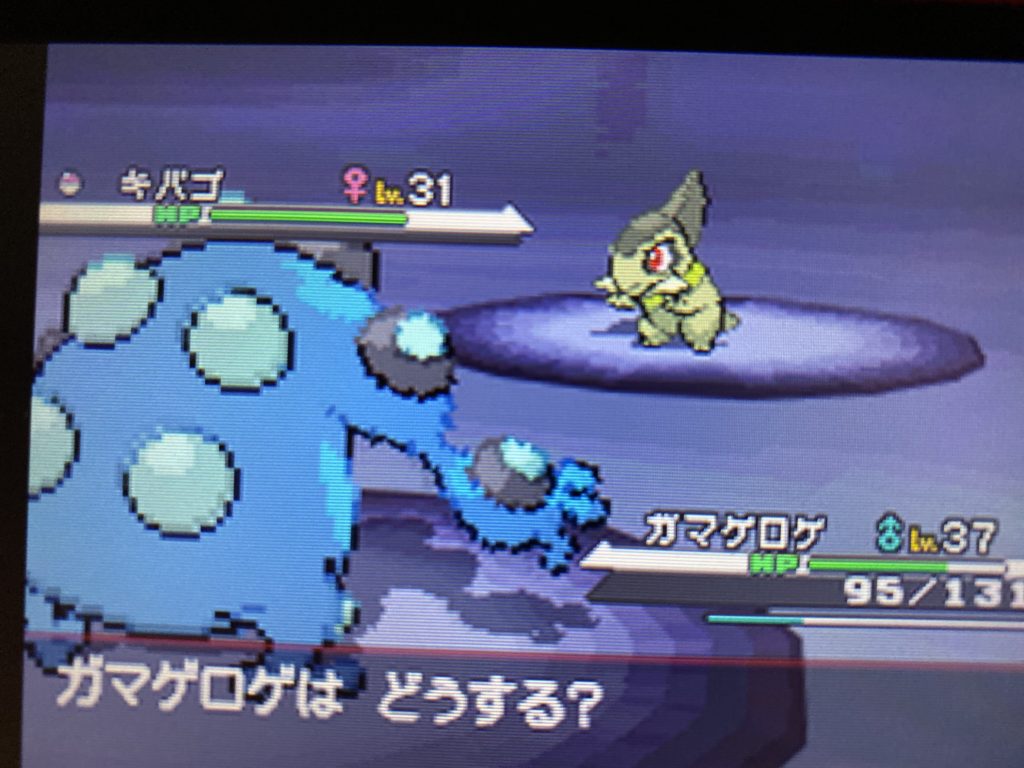 プレイ記 ポケモンストーリーをクリアする Bw編その4 ポケブロス